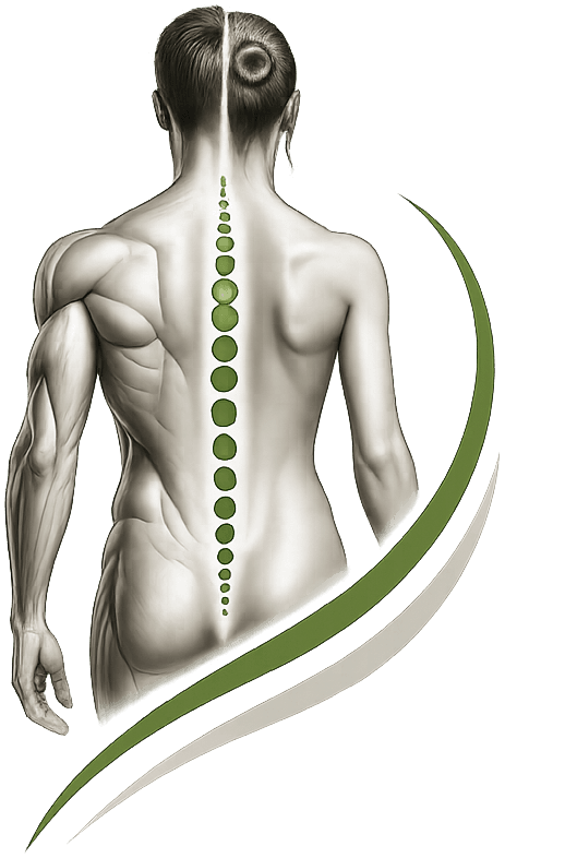Rückenillustration aus dem RevitaMove-Logo